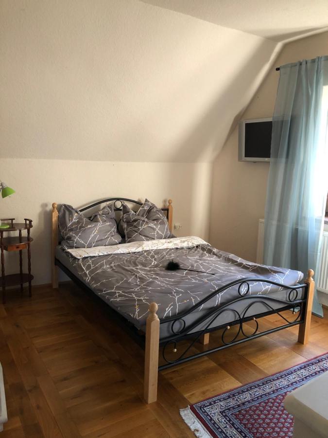 Ferienhaus Mit Pool Zum Traeumen Und Entspannen Fuer Alle Sinne باد شميديبرغ المظهر الخارجي الصورة